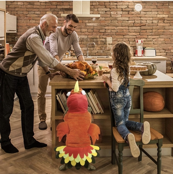 Turkey Dog Costume Thanksgiving Apparel Pet Costume for Dogs and Cats - Picture 3 of 11